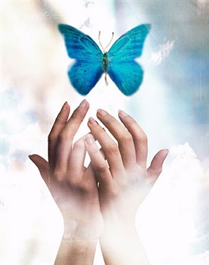 healing blue butterfly